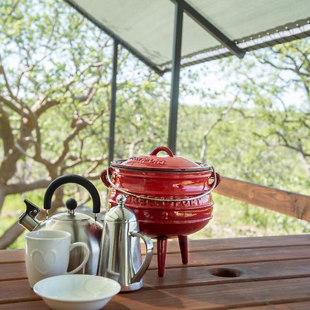 Etosha Safari Camping2Go Okaukuejo Rom bilde