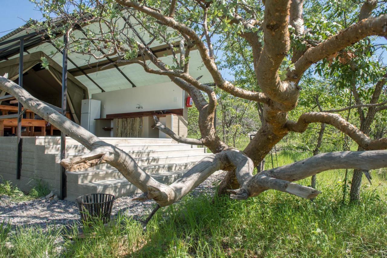 Etosha Safari Camping2Go Okaukuejo Eksteriør bilde